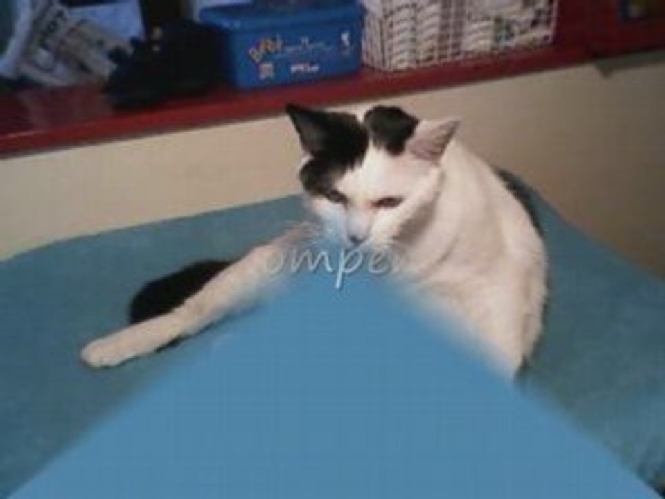 Sleepy superstar