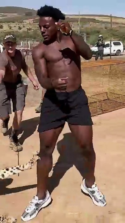IShowSpeed vs Cheetah. The wildest moment