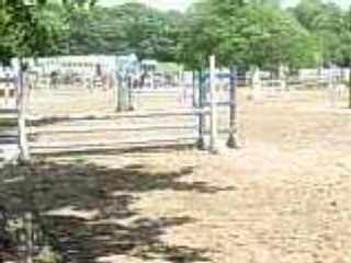 Solène & Golf en D4p