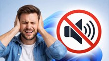 How do I stop Windows 11/10/8/7 notification sounds ??