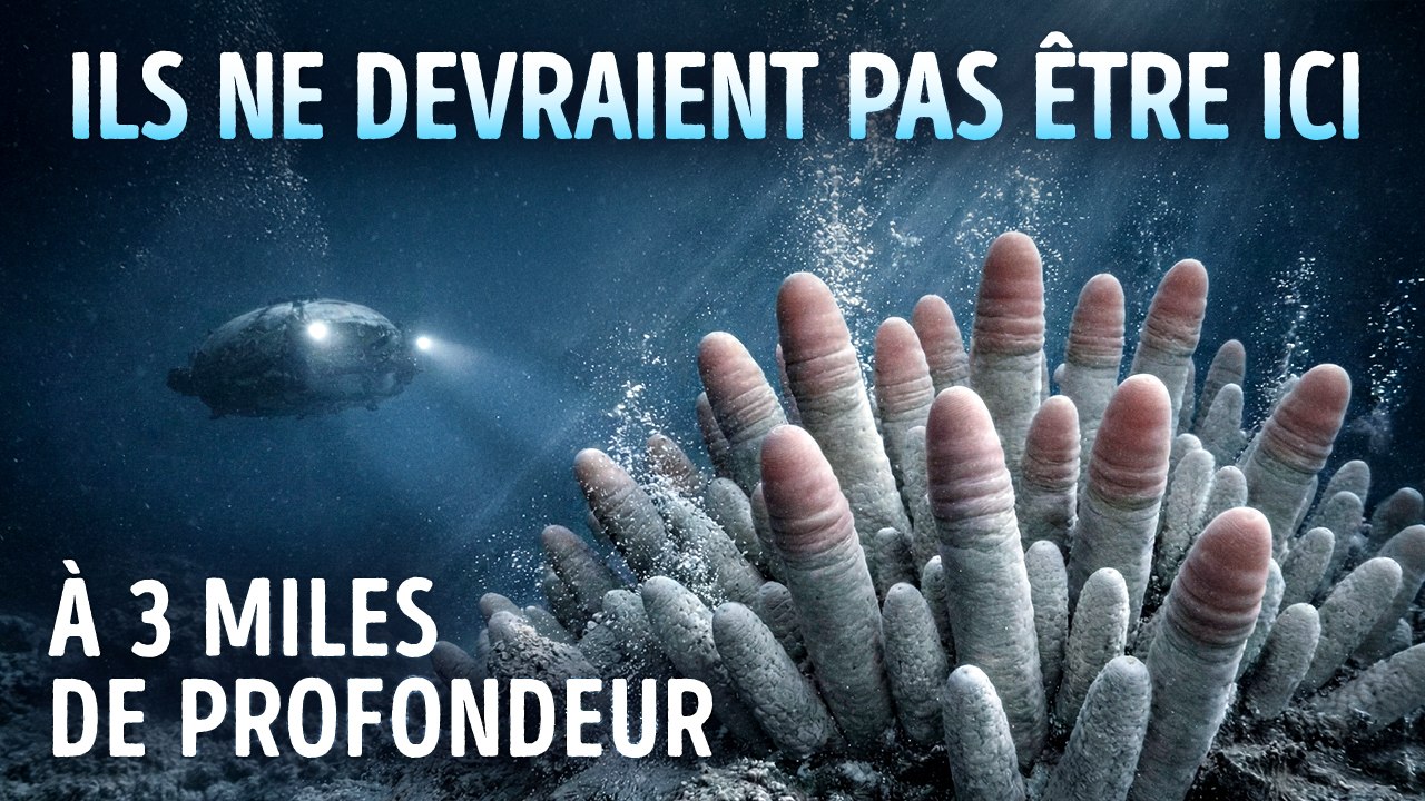 Les scientifiques ont découvert quelque chose d'étrange dans les profondeurs marines