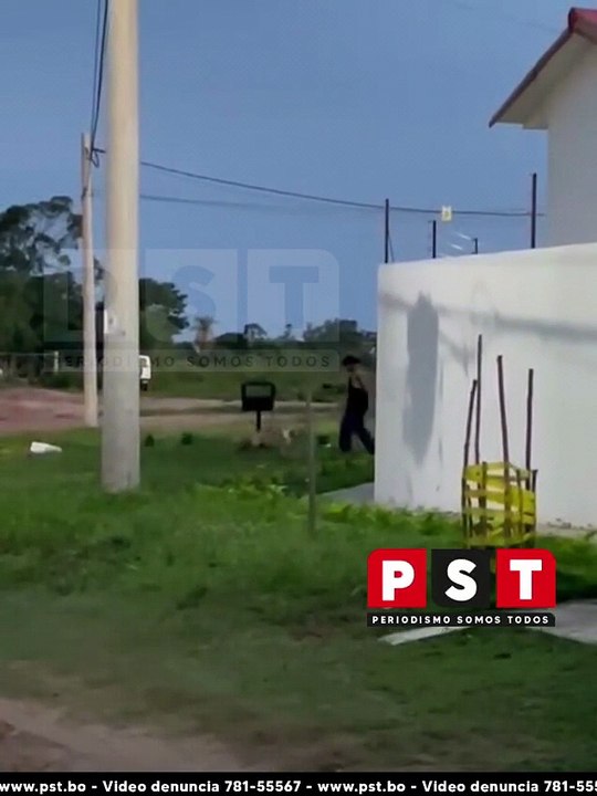 Vecinos molestos por qué perros de raza grande andan sueltos