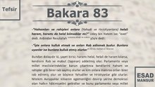 Esad Mansur - Bakara Suresi Tefsiri 83
