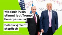 Wladimir Putin stimmt laut Trump Feuerpause zu - Selenskyj bleibt skeptisch