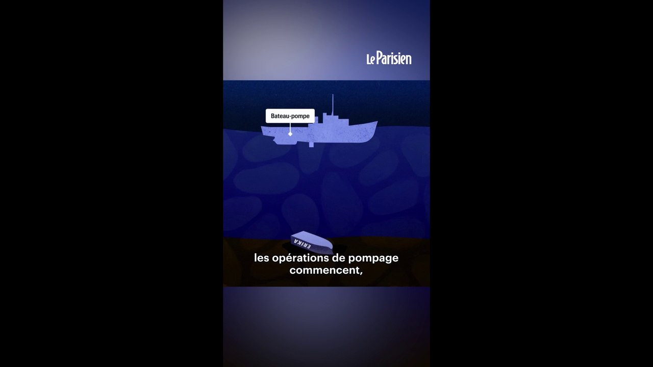 Du pétrole d'Erika refait surface, des oiseaux retrouvés mazoutés