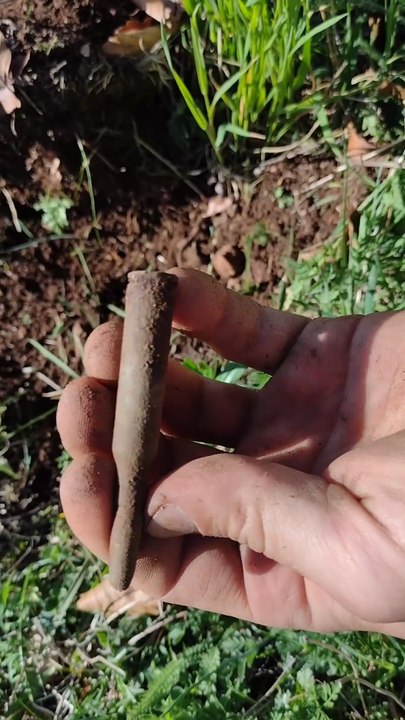 Buried for Decades – A Perfectly Intact Discovery with a Metal Detector