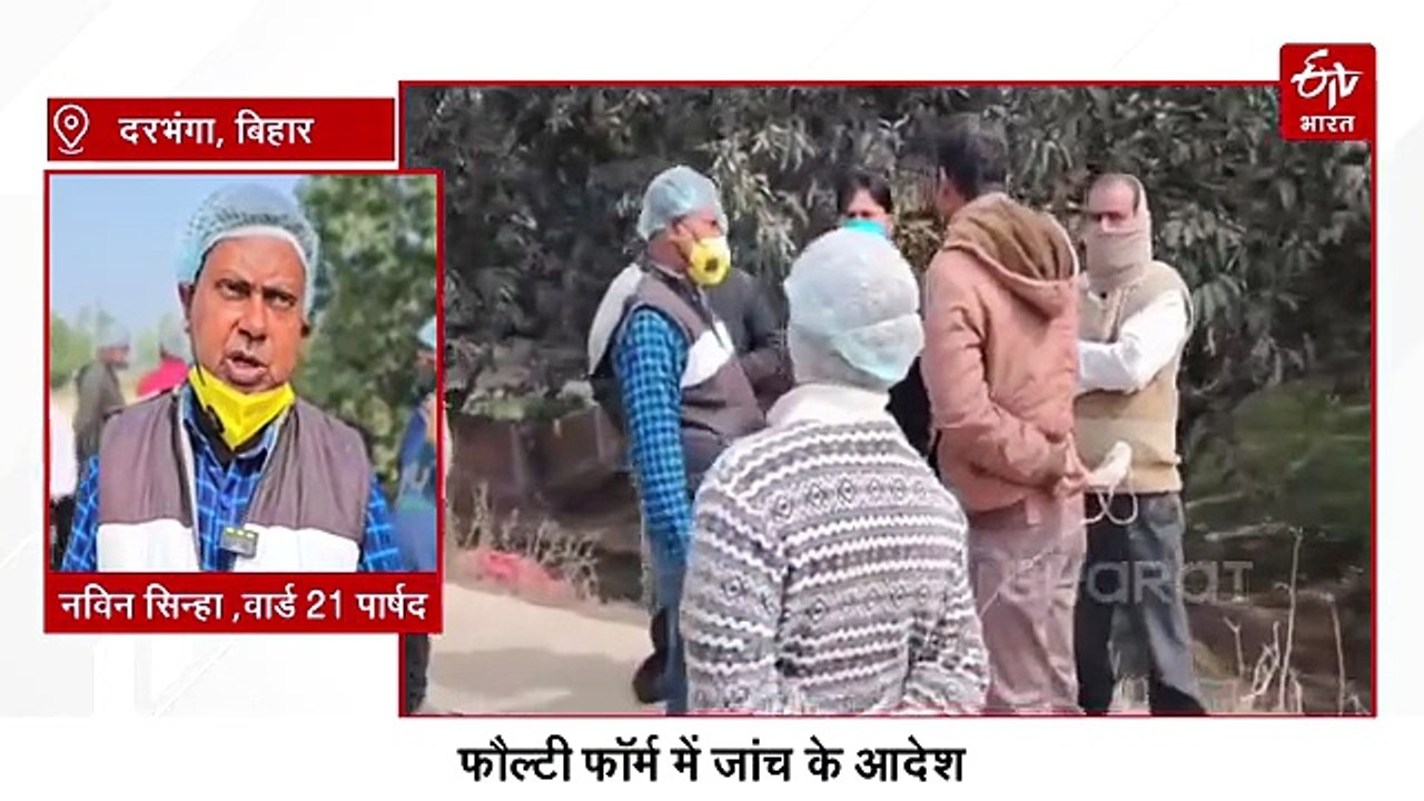 सावधान! बिहार में बर्ड फ्लू की पुष्टि, एक साथ 10 हजार कौआ की मौत