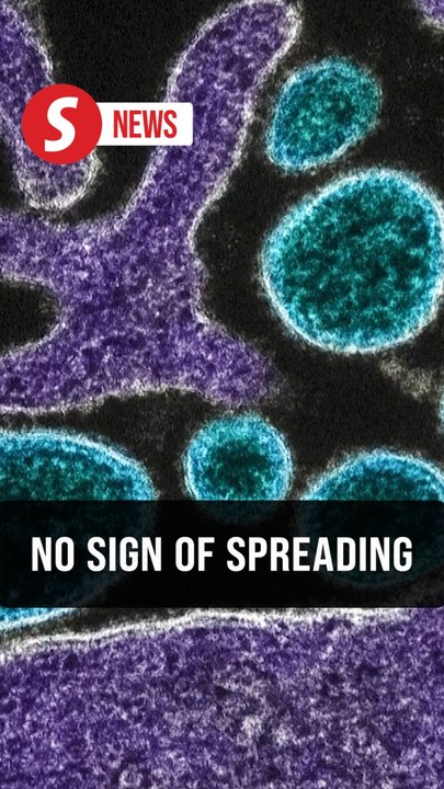 WHO: Nipah virus risk low in India with no sign of spread