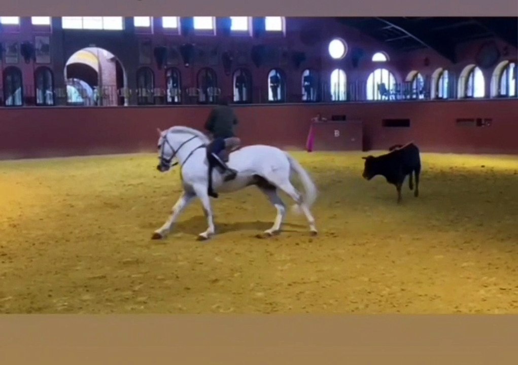 WhatsApp Video 2026-01-30 at 18.57.16