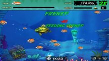 Feeding Frenzy Indonesia - Semua Dalam Bahaya Berburu Atau DI Buru