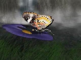 Le Dernier Papillon