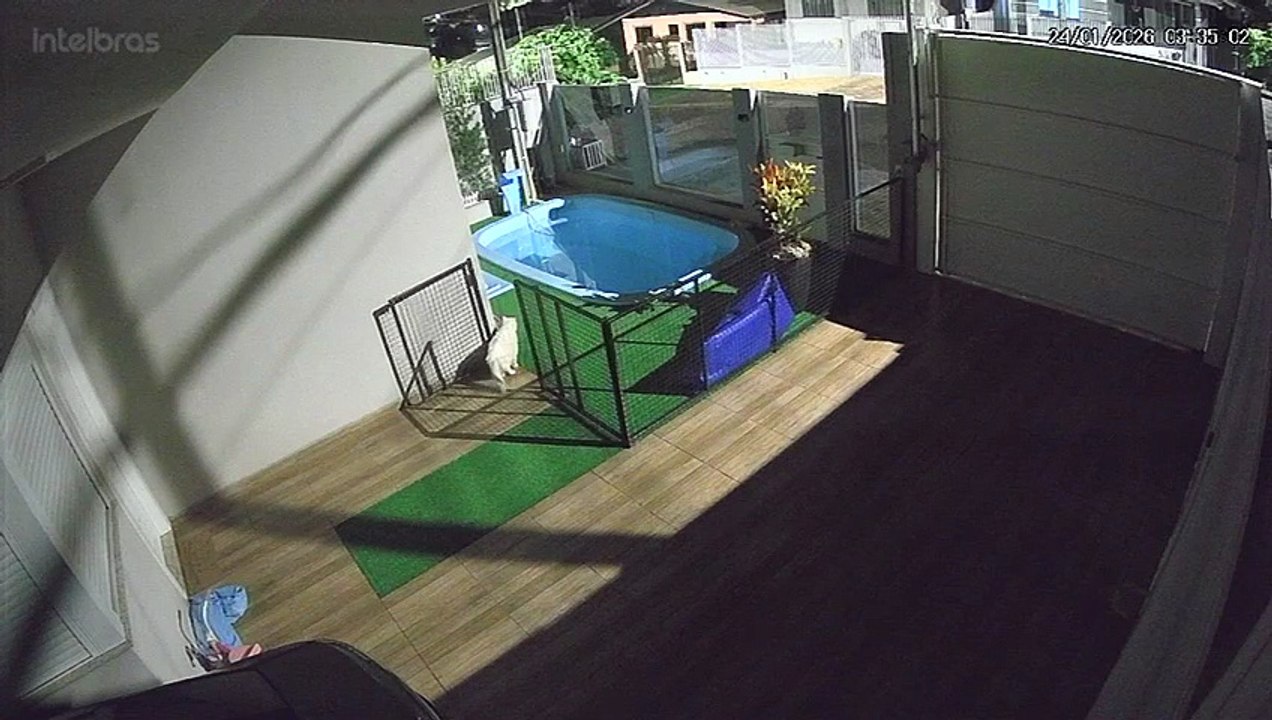 Após tentativa de homicídio, polícia cumpre mandados em Quedas e São João; Ouça os tiros