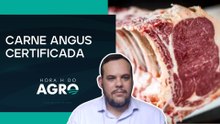 Carne Angus ganha espaço no exterior: certificação agrega valor e amplia mercados