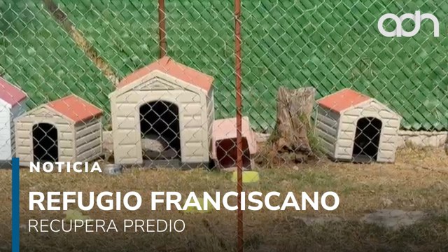 Refugio Franciscano recupera predio en Cuajimalpa; buscarán el regreso de los perritos