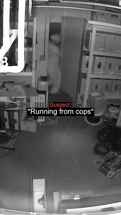 Suspect Hides From SWAT In Plain Sight