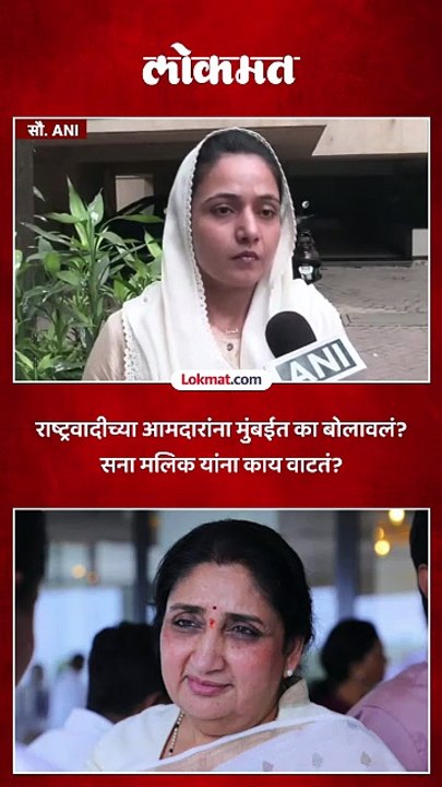सुनेत्रा पवार उपमुख्यमंत्री झाल्या पाहिजेत का? सना मलिक यांना काय वाटतं?
