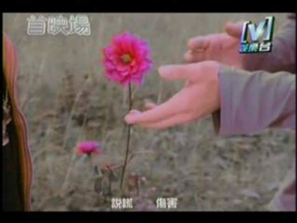 寂韶涵-不想懂屠 Angela Zhang