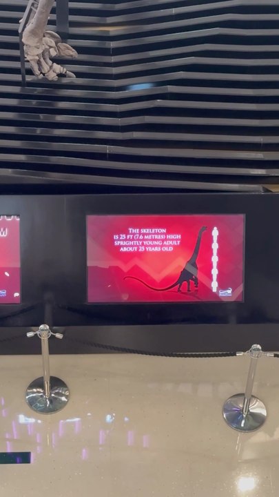 One Small habit.. can change your whole life