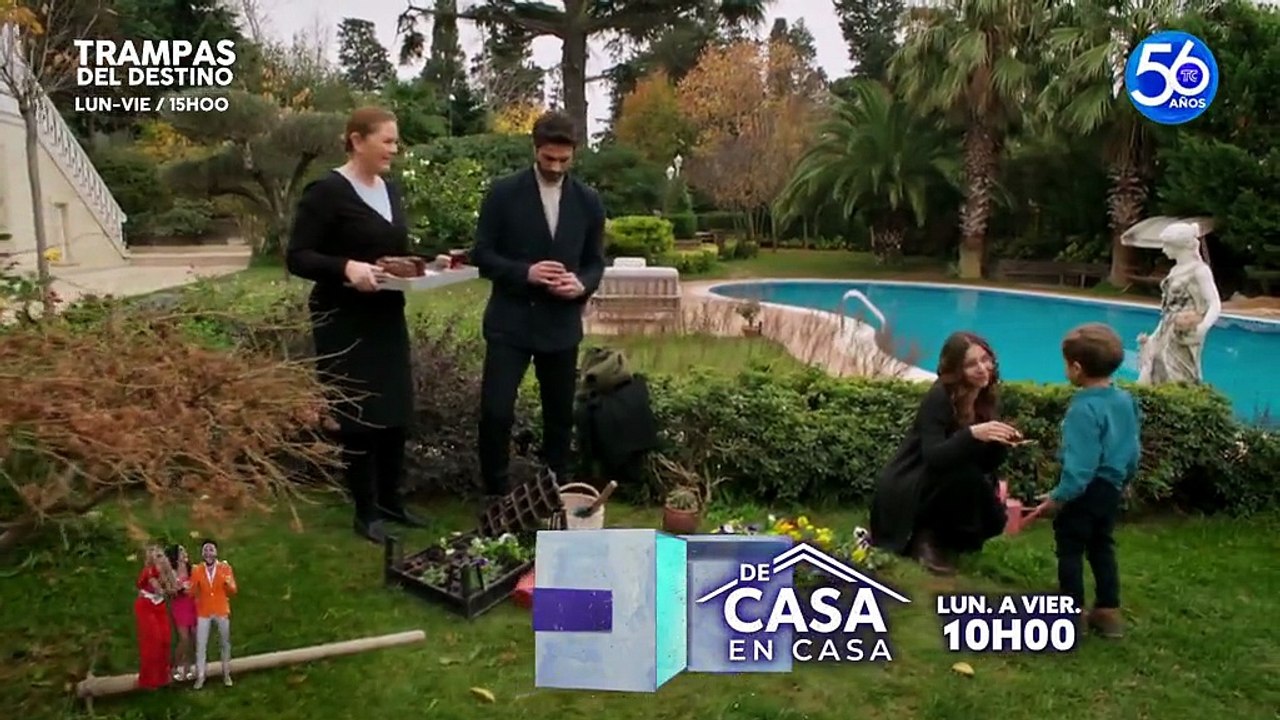 54. Destino Roto Toprak Ile Fidan