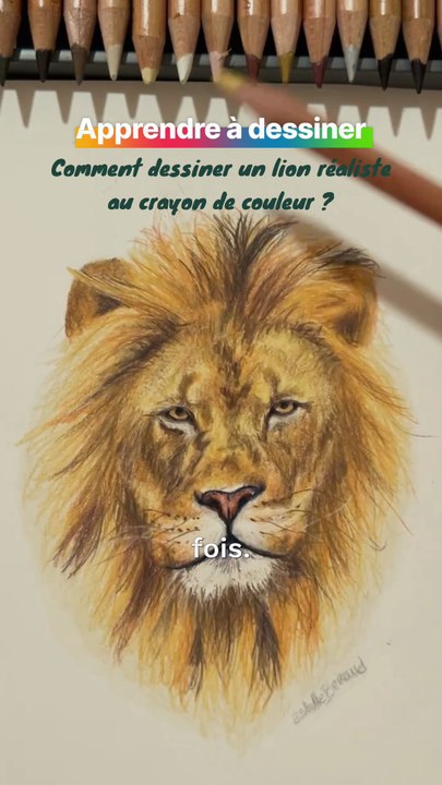 Comment dessiner un lion réaliste avec les crayons de couleur