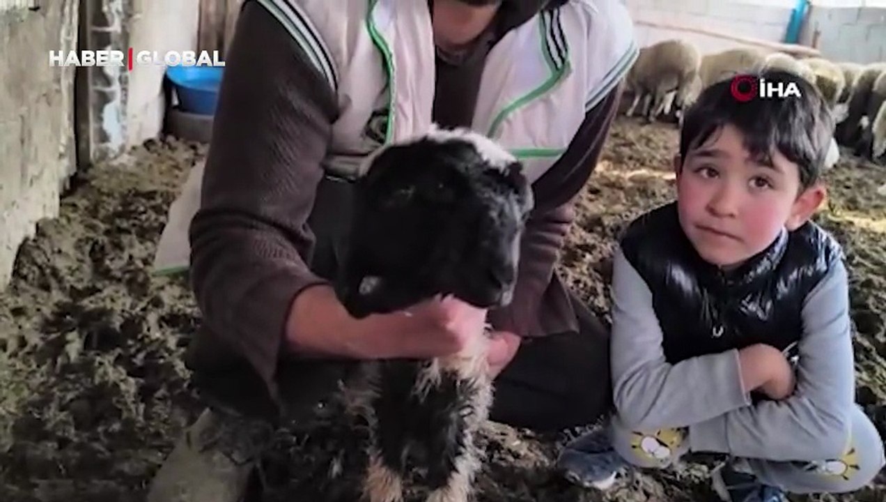 Çift başlı ve 4 gözlü doğdu!
