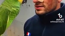 Le perroquet face au flic🦜😂#humourfrançais #funny #humour #perroquet #humor #comédie #ai #humour
