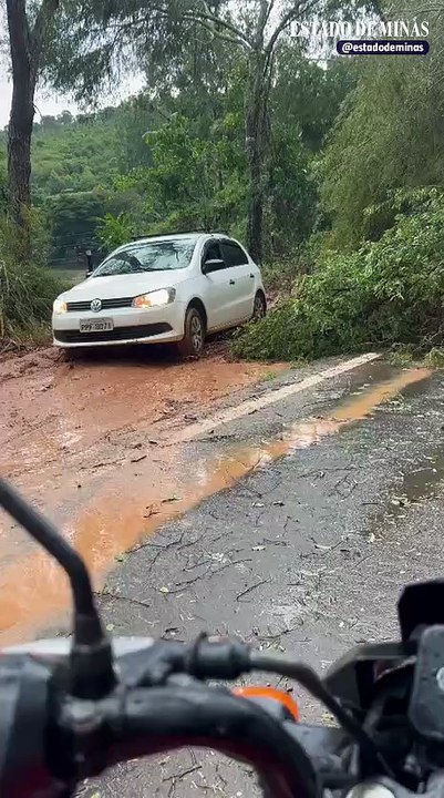Árvore cai em cima de caminhão na MGC-120 durante chuva