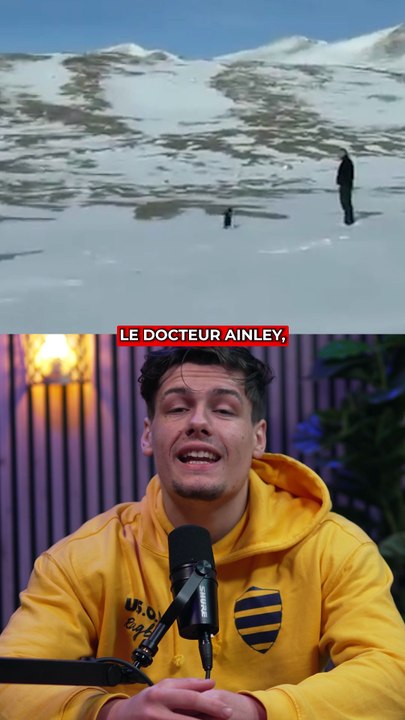 Pourquoi ce pingouin est devenu viral ?!