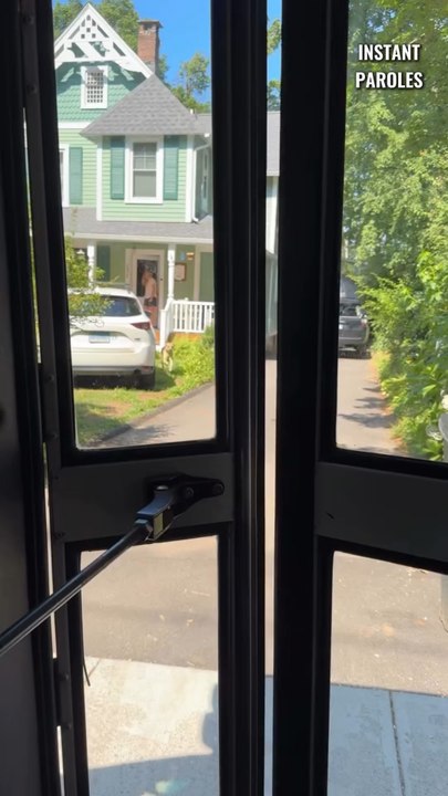 Cette conductrice de bus offre une promenade à des chiens tous les jours