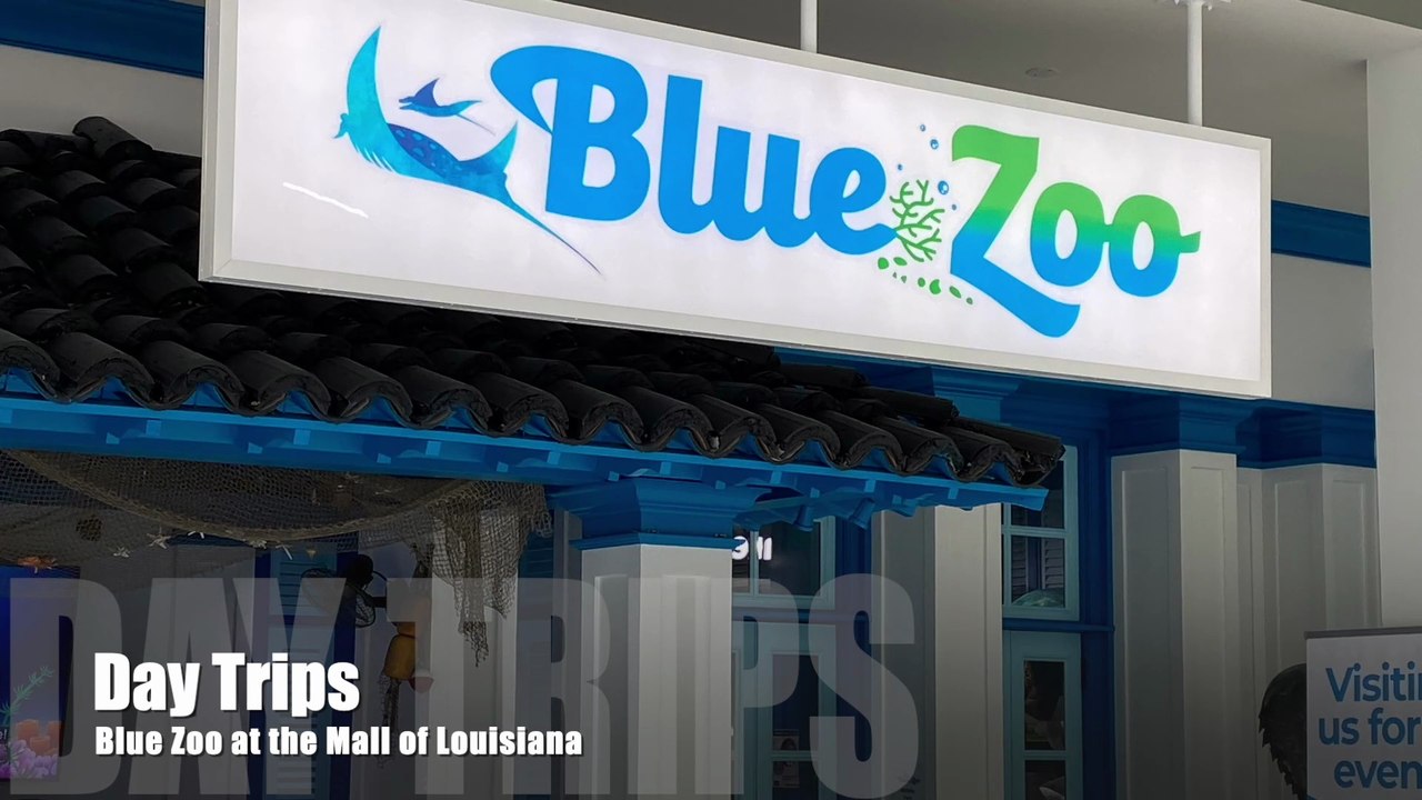 Day Trip to the Blue Zoo (Baton Rouge, Louisiana)