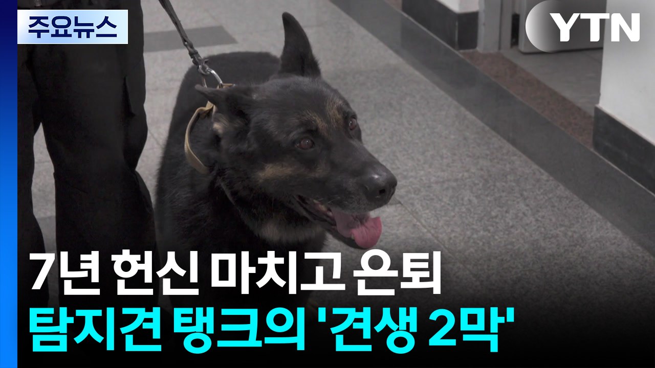 7년 헌신 마치고 은퇴...탐지견 탱크의 '견생 2막' / YTN