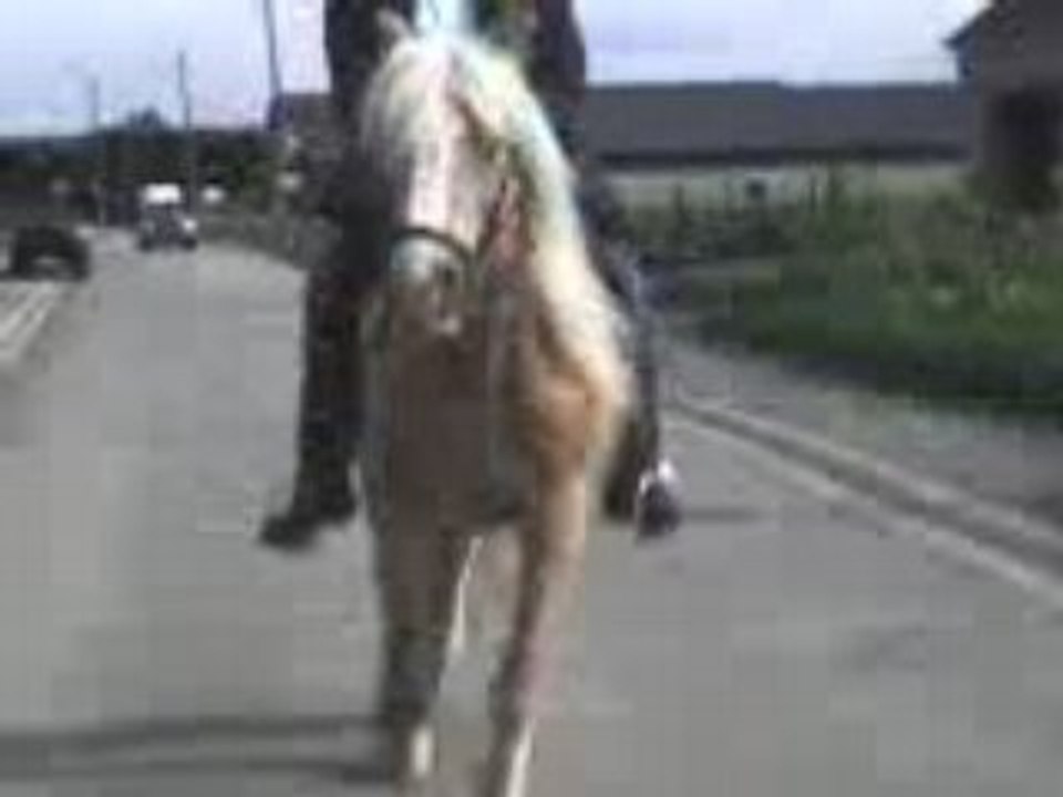 Trot standou génial!