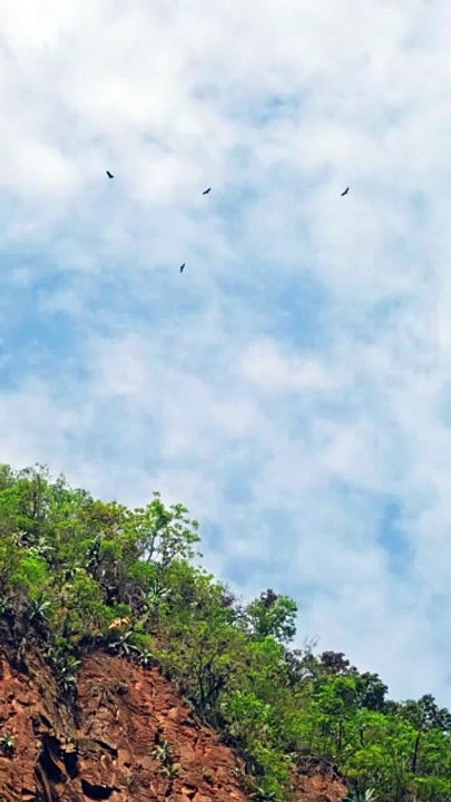 “Waiting for the Beat” - Musique AMIS