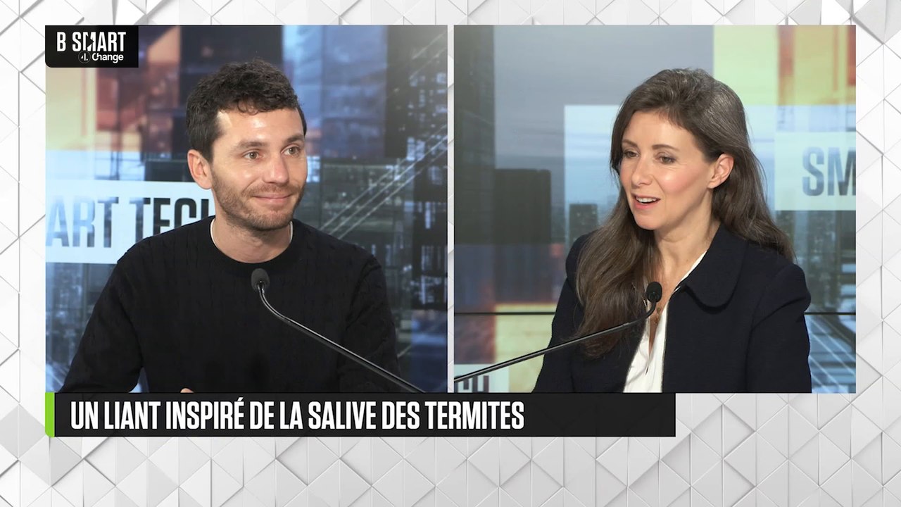 SMART TECH - Biomimétisme : un liant inspiré de la salive des termites