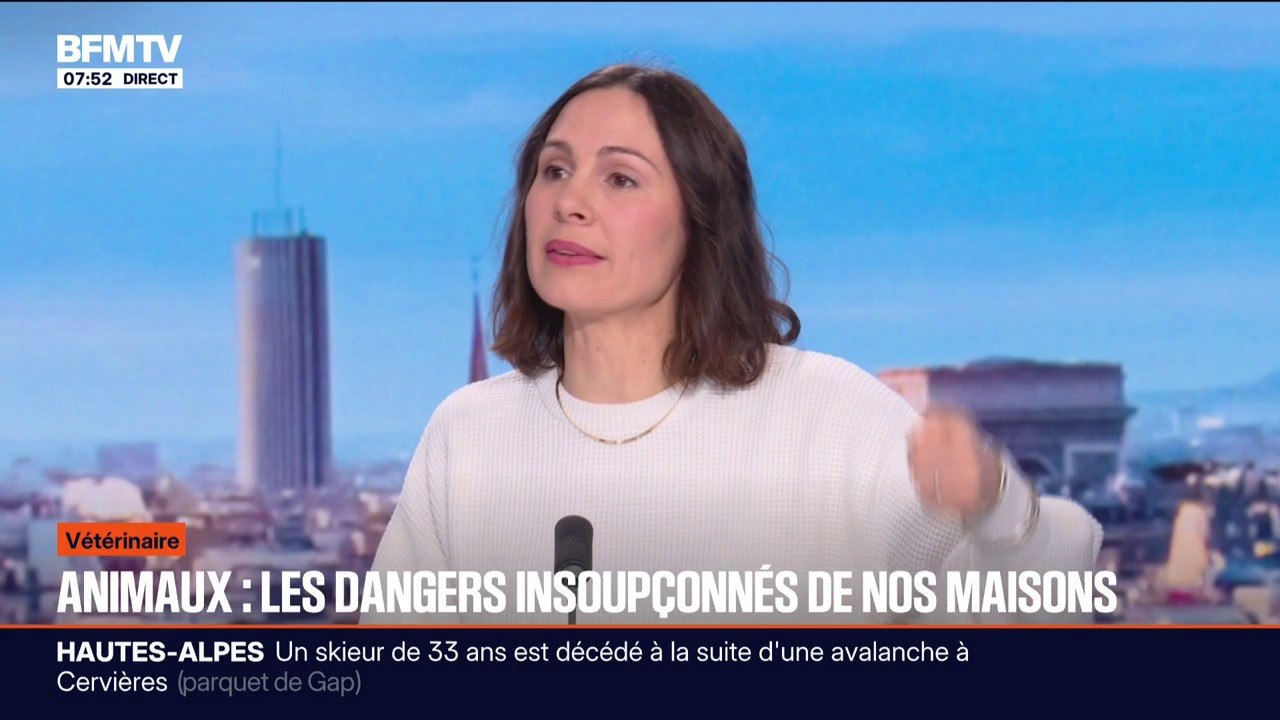 Animaux: attention aux dangers insoupçonnés de nos maisons