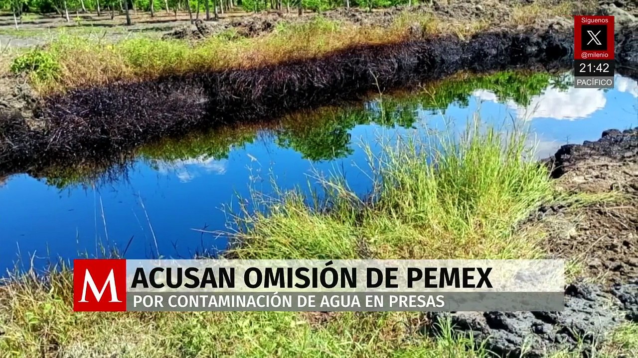 Denuncian contaminación de tres presas en ejido Herrera de Altamira, Tamaulipas