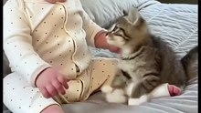 Baby In Dog And Cat So Beautiful Funny