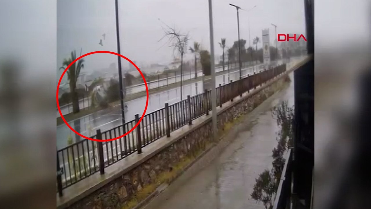 Kontrolden çıkan otomobil refüjdeki ağaca çarparak ters döndü