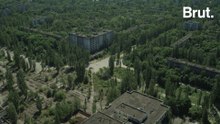 Et si l’effet Tchernobyl n'existait pas ?