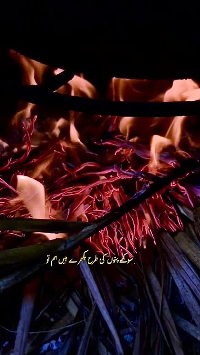 burn the leaves