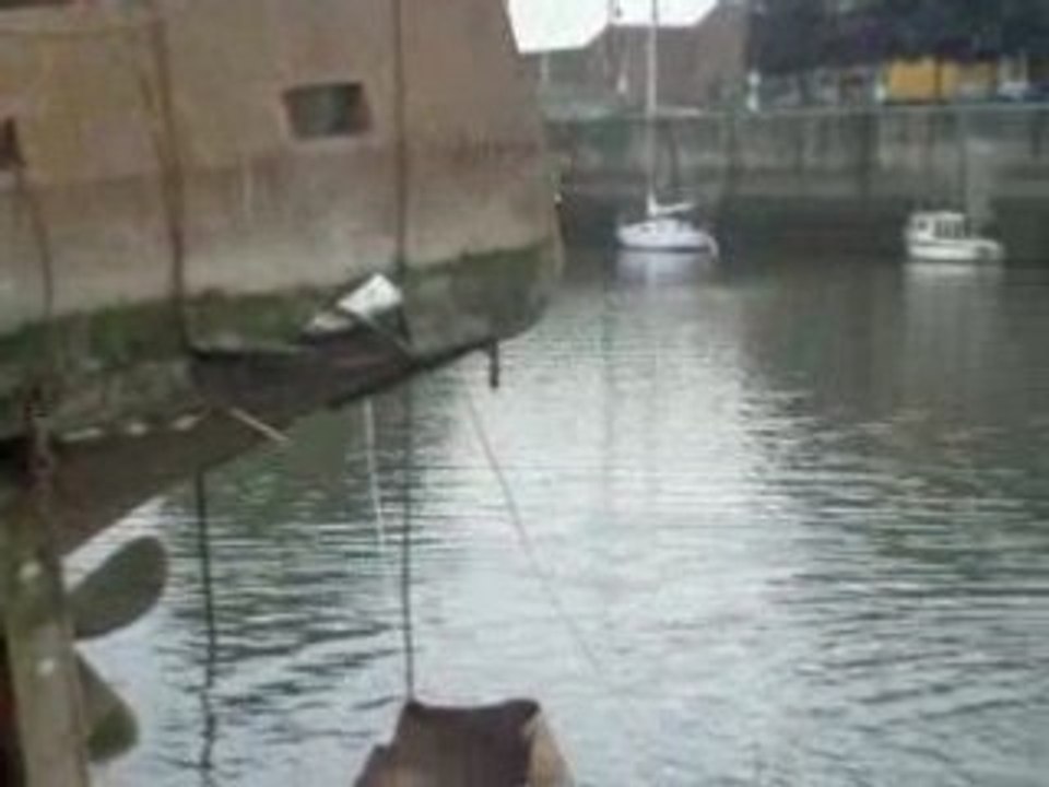 la denree est en train de nager dans la touques