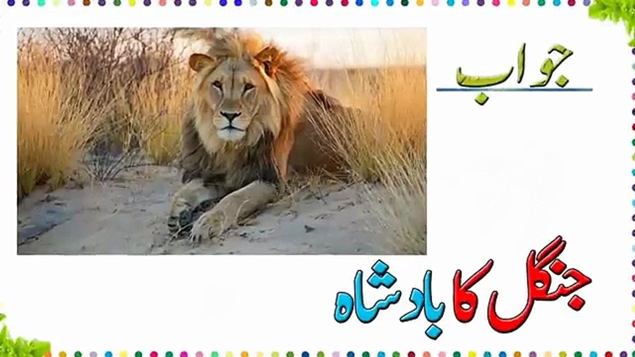 Urdu Riddles 1