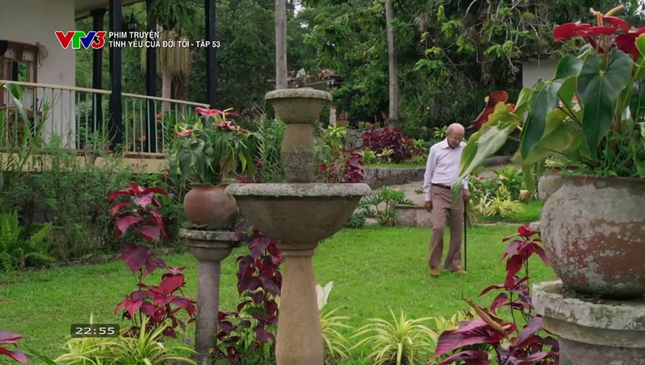 TÌNH YÊU CỦA ĐỜI TÔI - TẬP 53 - VTV3 THUYẾT MINH - PHIM COLOMBIA - TINH YEU CUA DOI TOI