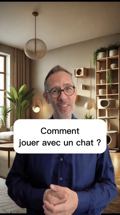Comment jouer avec son chat ?