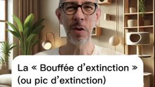 La bouffée d’extinction (ou pic d’extinction) du chat