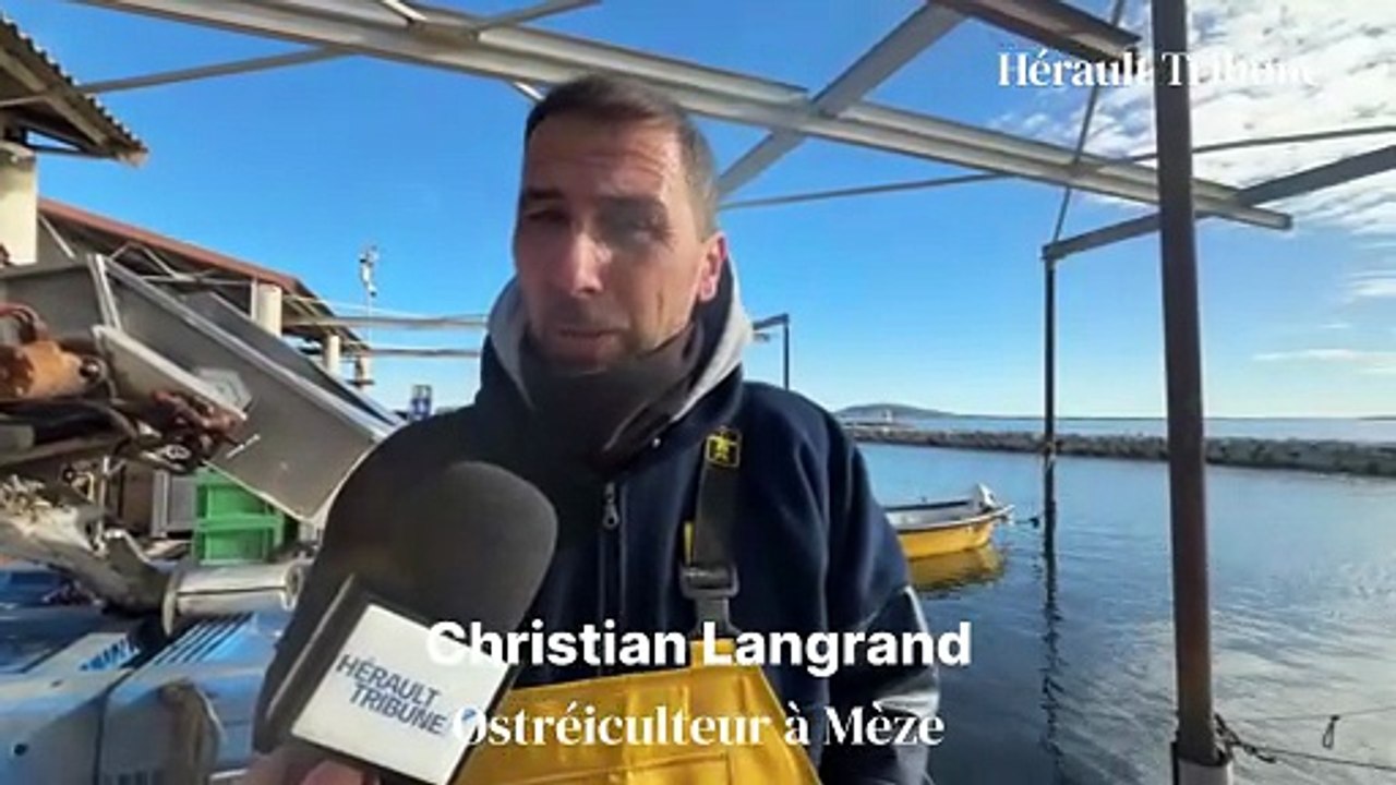 Les ostréiculteurs du bassin de Thau en colère