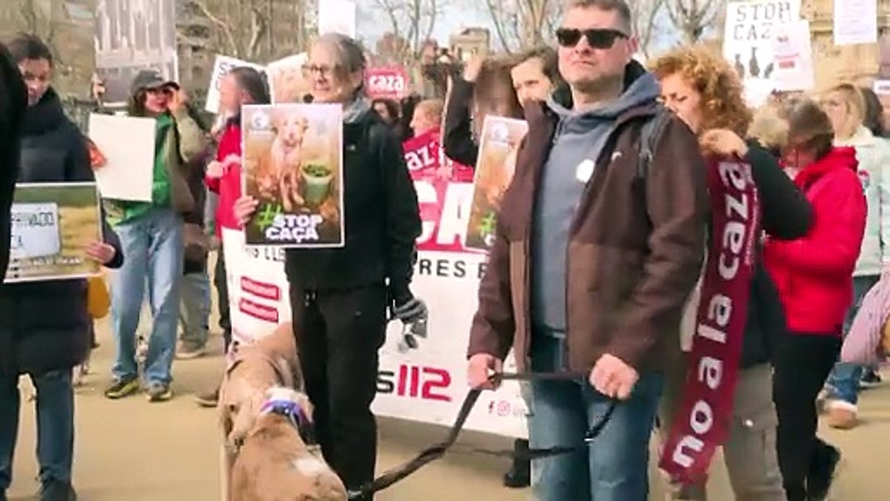 Animalistas denuncian el "abandono" que sufren los perros de caza