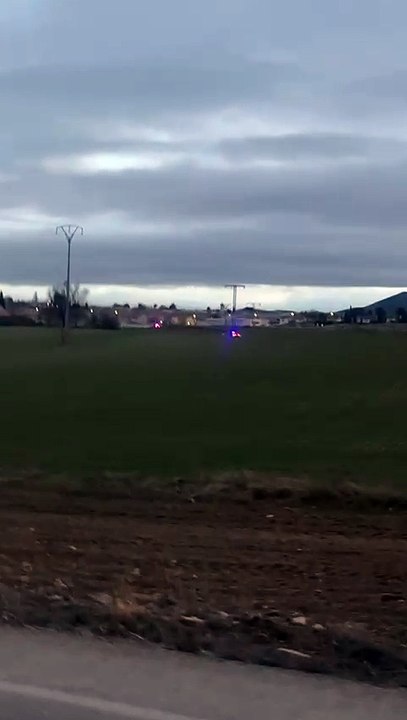 La Guardia Civil da caza a un jabalí en Toledo