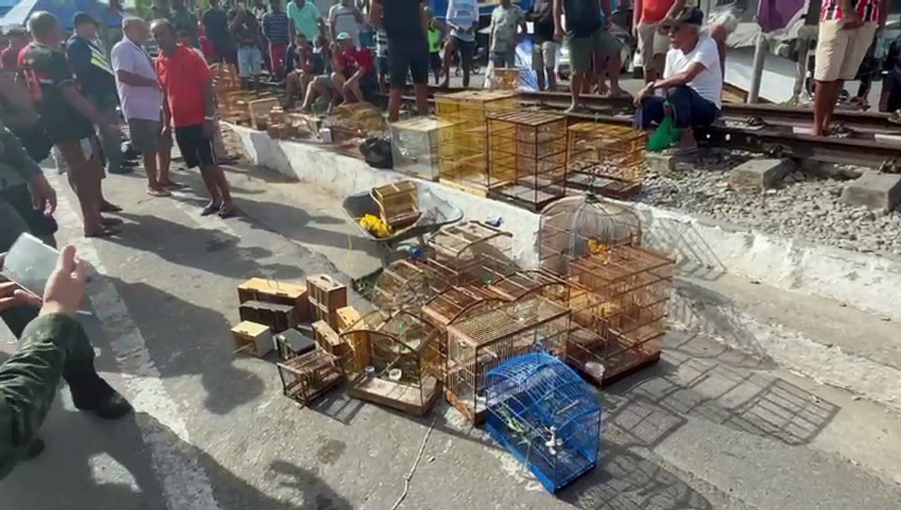 Polícia apreende 60 animais silvestres em operação em feiras livres de Maceió e Rio Largo
