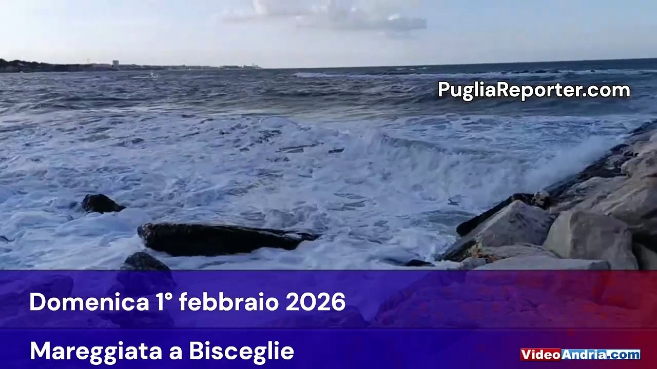 Forte vento nella Bat, spettacolare mareggiata sulla costa di Bisceglie